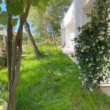 Villa Hanna Ulcinj Exterior foto